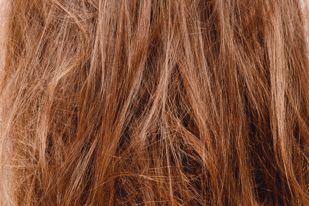 How to Repair Damaged Hair: The Ingredients That Actually Work