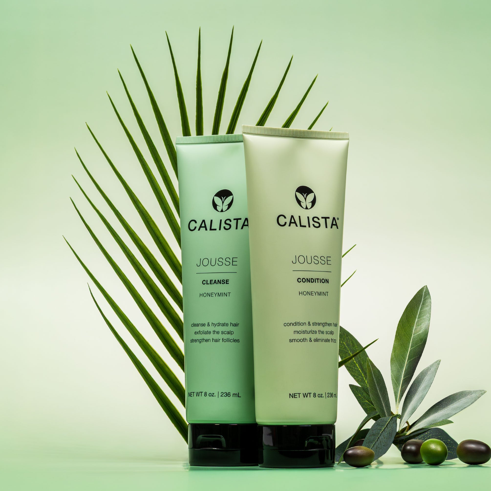 Two Calista Jousse hair care tubes stand upright with green leaves and olives around them, set against a pale green background with a palm frond behind the products.