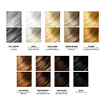 A chart showing hair color samples from salt and pepper to black, with shade descriptions—ideal for selecting Calista Tools’ EMBELLISH Root Touch-Up Light Brown for temporary color or root touch-up with great grey coverage.