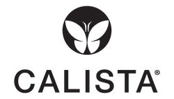 Hair Sprays - Volumizing, Setting, Finishing & Texturizing – Calista Tools