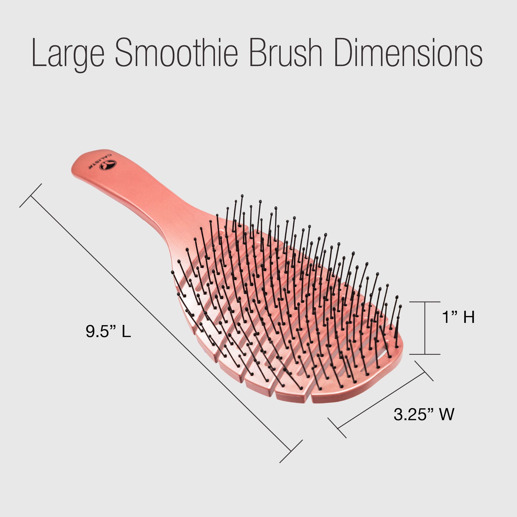graphic displaying the dimensions of the large smoothie brush